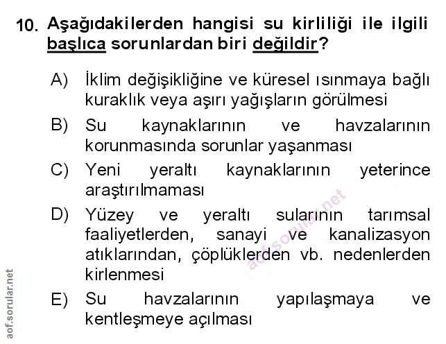 Soru 10