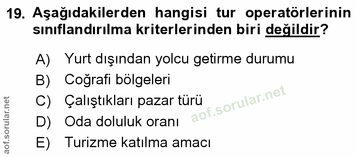 Soru 19