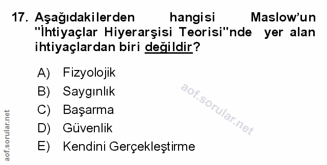 Soru 17