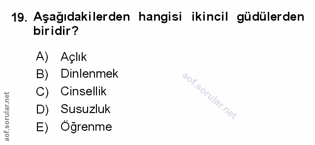 Soru 19