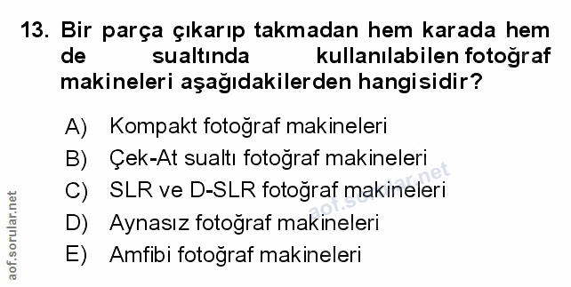 Soru 13