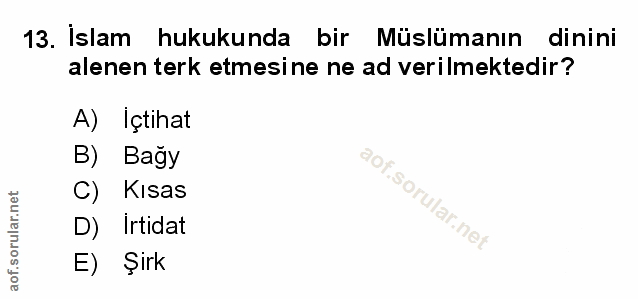 Soru 13