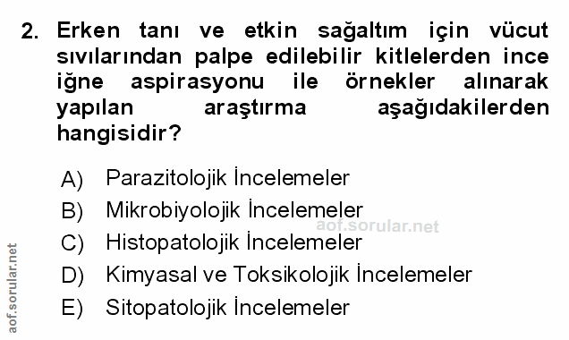 Soru 2