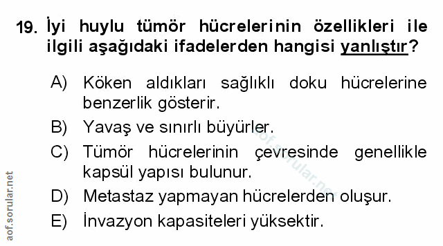 Soru 19