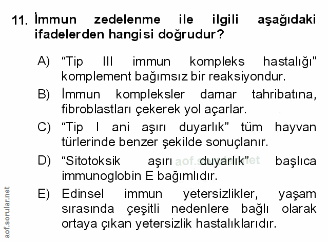 Soru 11