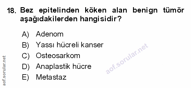 Soru 18