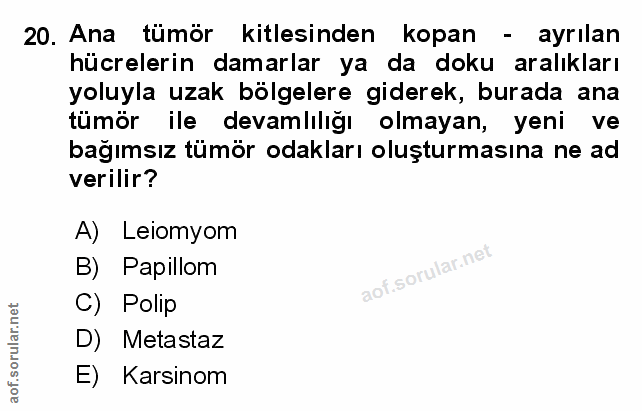 Soru 20