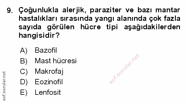 Soru 9