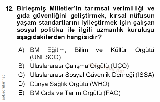 Soru 12