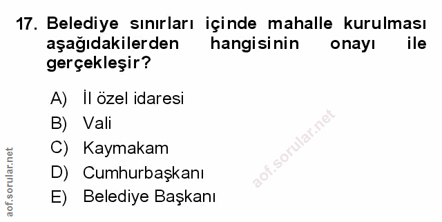 Soru 17