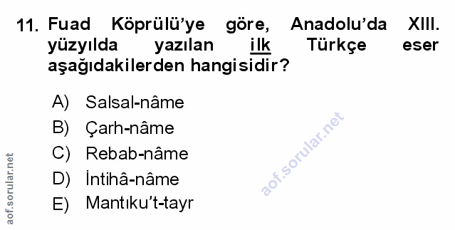 Soru 11