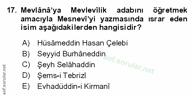 Soru 17