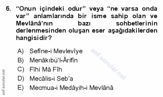 Soru 6