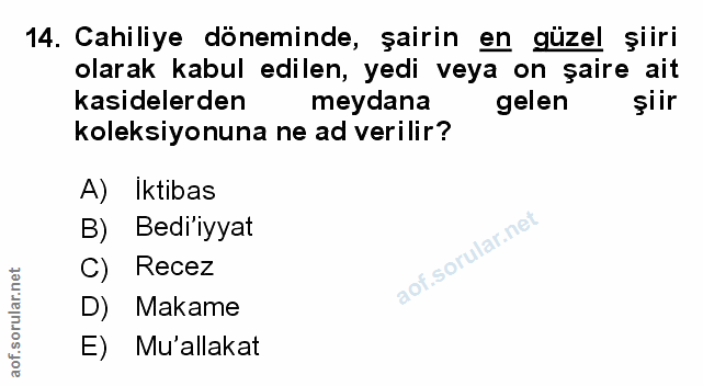 Soru 14