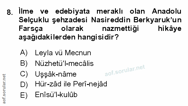 Soru 8