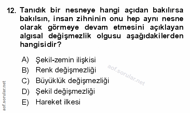Soru 12