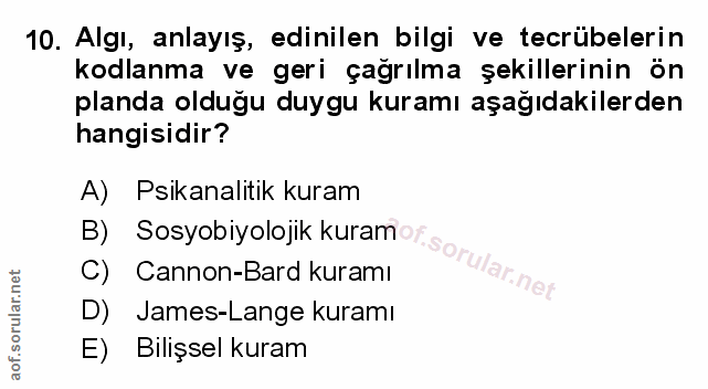 Soru 10