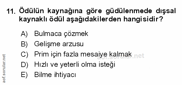 Soru 11