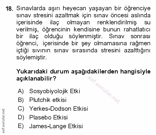 Soru 18