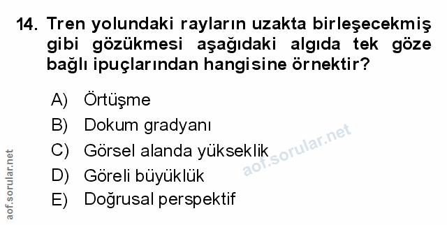 Soru 14