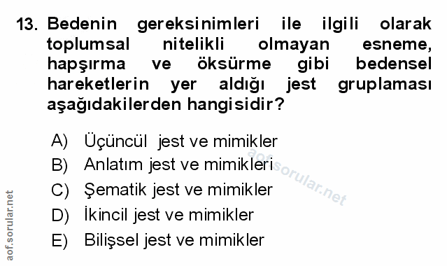Soru 13