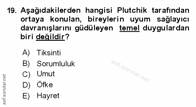 Soru 19