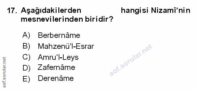 Soru 17