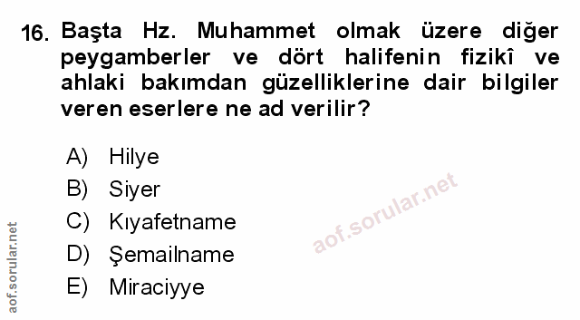 Soru 16