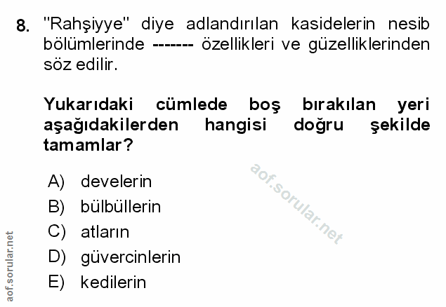 Soru 8
