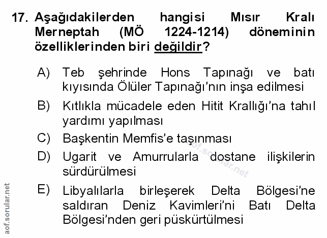 Soru 17