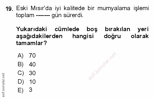 Soru 19