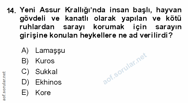 Soru 14