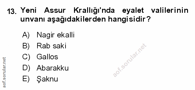 Soru 13