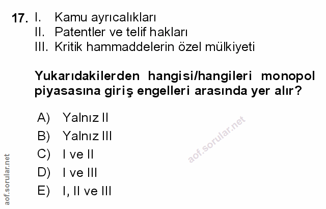 Soru 17