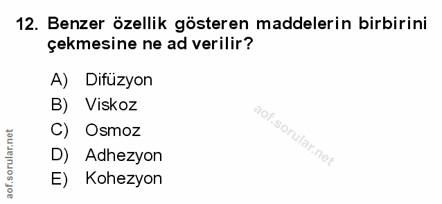 Soru 12