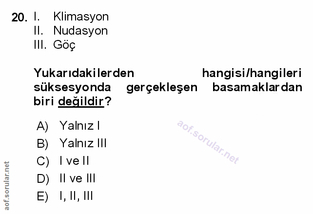 Soru 20
