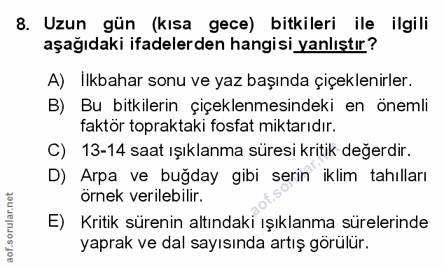 Soru 8