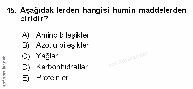 Soru 15