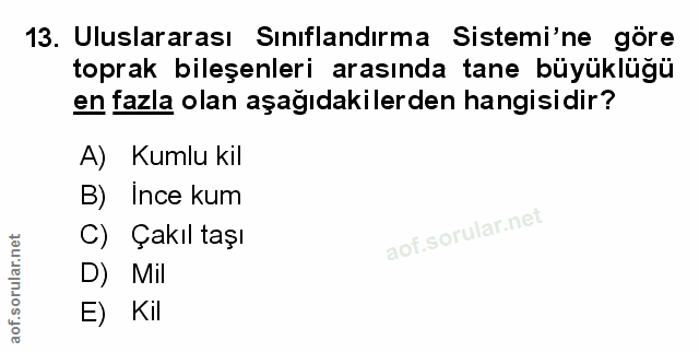Soru 13