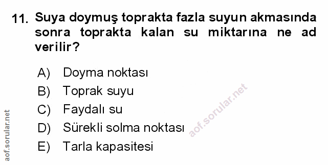 Soru 11