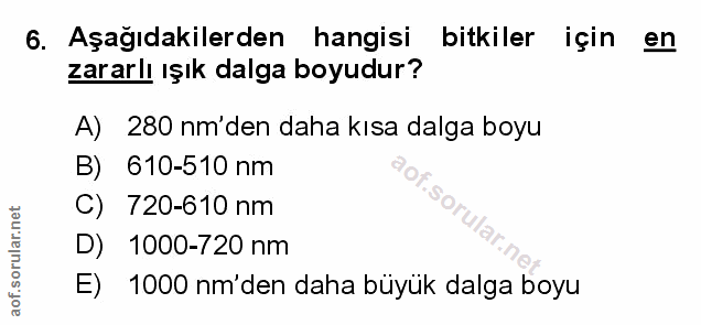 Soru 6