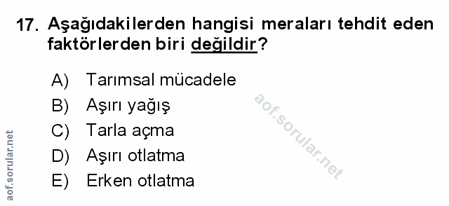 Soru 17