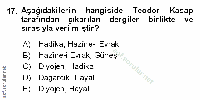 Soru 17