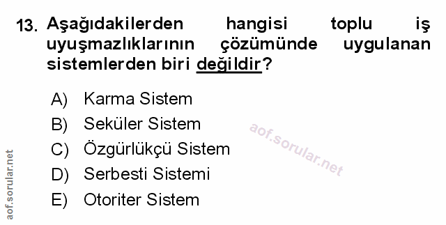 Soru 13
