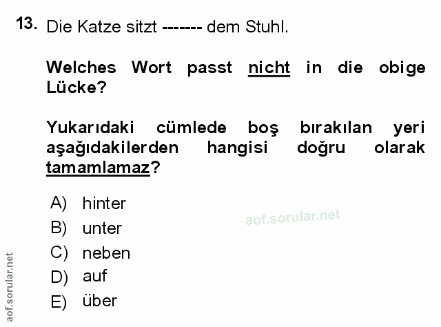 Soru 13