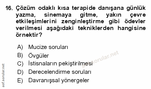 Soru 16