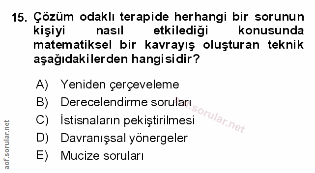Soru 15
