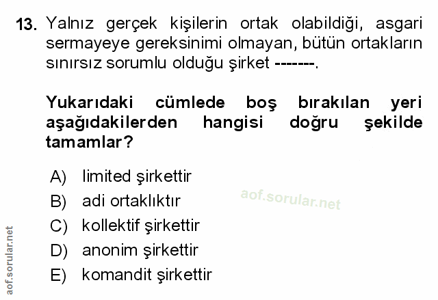 Soru 13