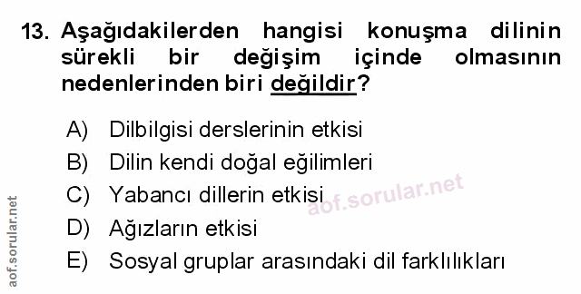 Soru 13