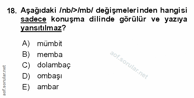 Soru 18